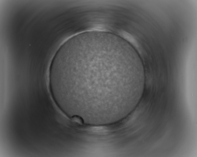 X0000089861479200707121727