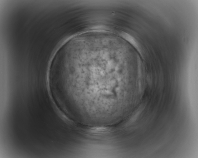 X0000089861482200707121727