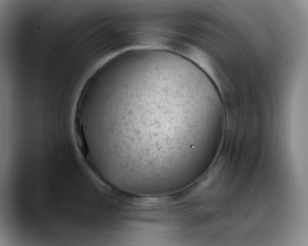 X0000089861485200707121727