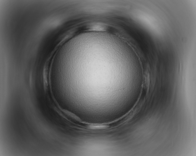 X0000089861487200707121727