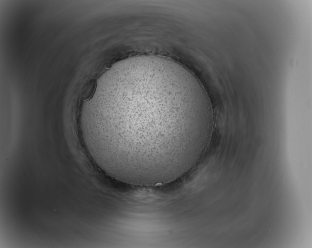 X0000089861489200707121726