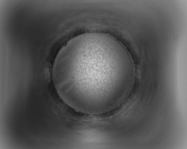 X0000089861493200707121726