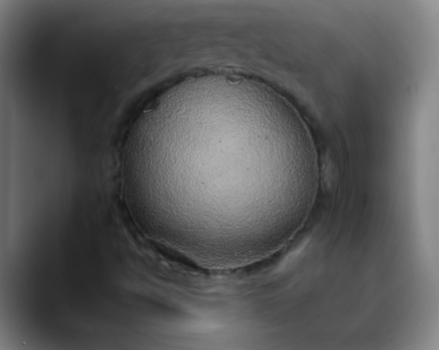 X0000089861494200707121726