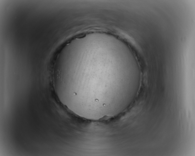 X0000089861496200707121726