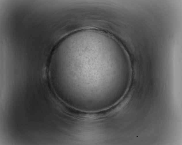 X0000089861497200707121726