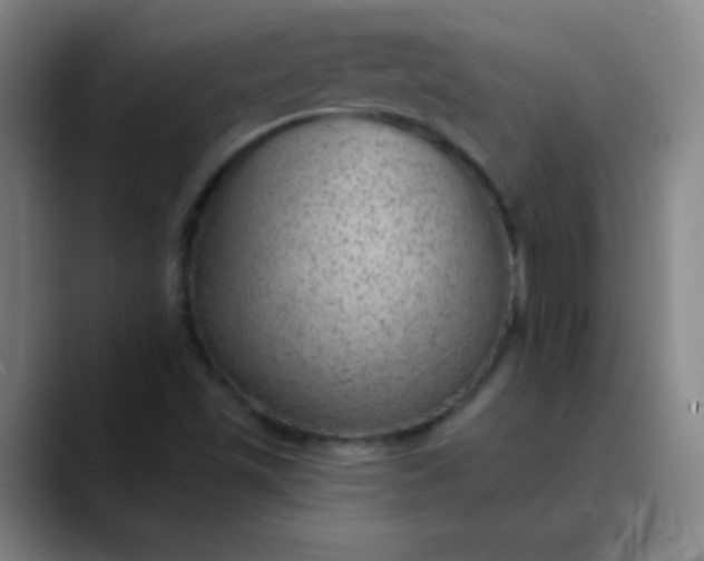 X0000089861501200707121726