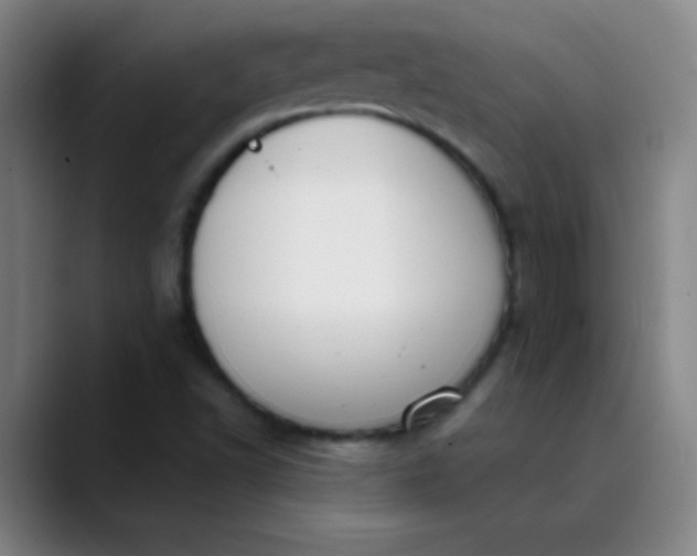 X0000089861502200707121726