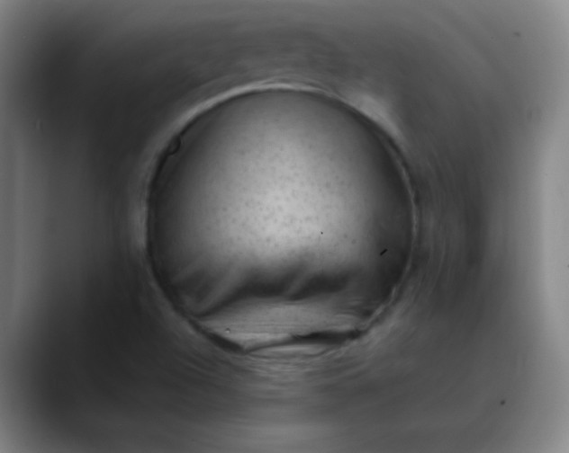 X0000089861504200707121726