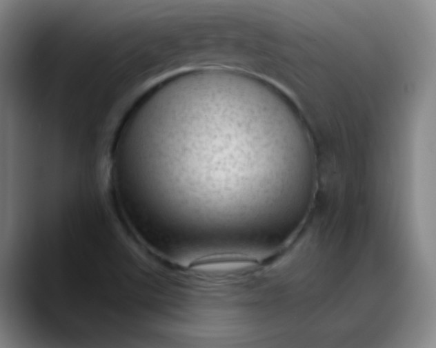 X0000089861507200707121727