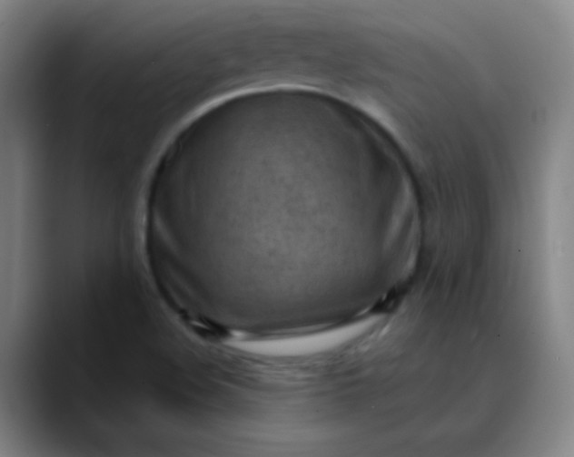 X0000089861508200707121727