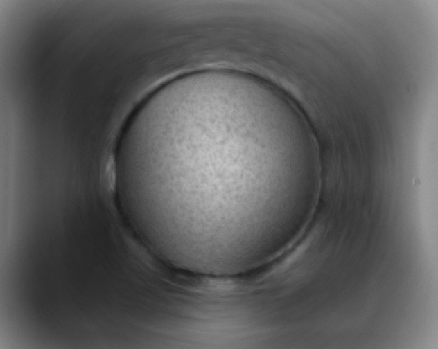 X0000089861509200707121727