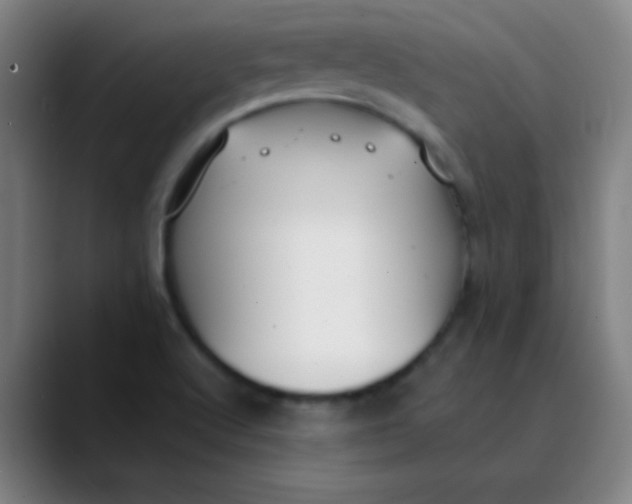 X0000089861512200707121727