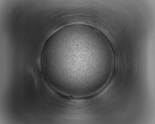 X0000089861513200707121727