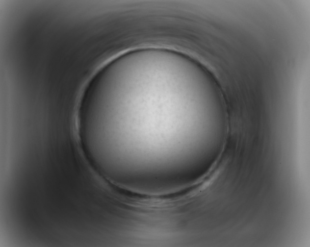 X0000089861517200707121727