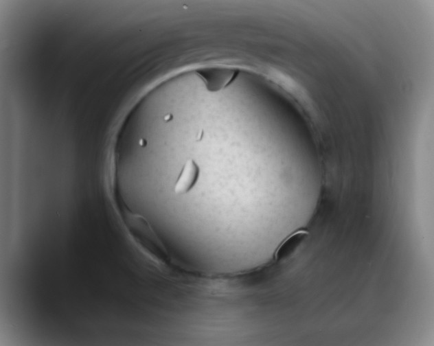 X0000089861520200707121727