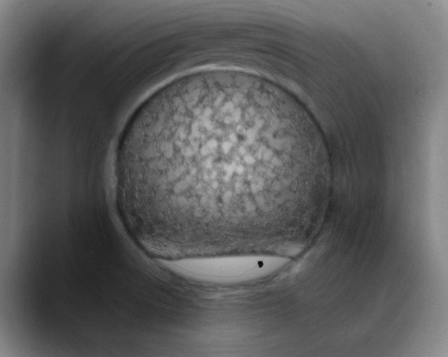 X0000089861522200707121727