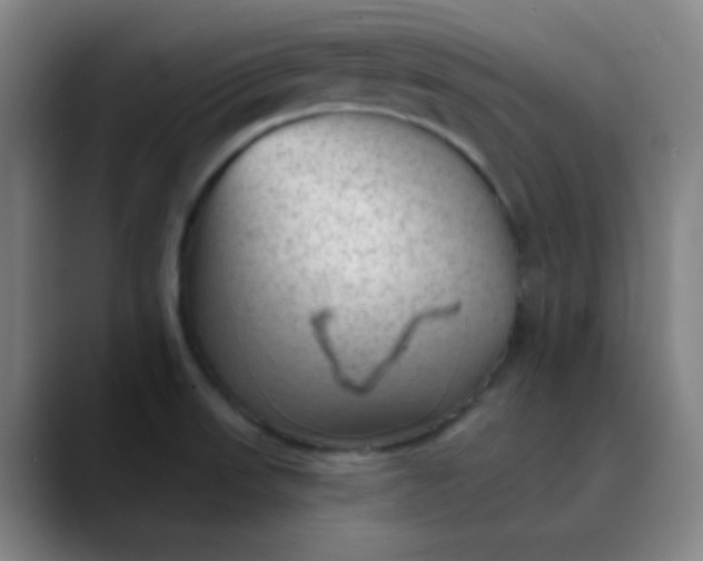 X0000089861523200707121727