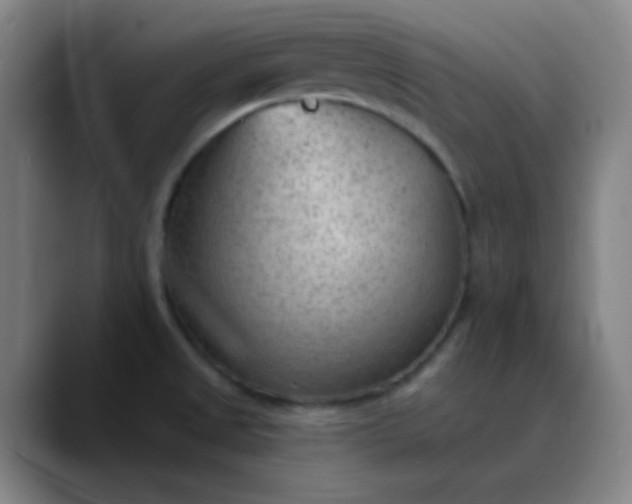 X0000089861525200707121727