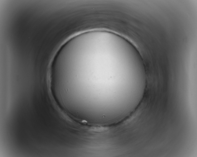 X0000089861526200707121727