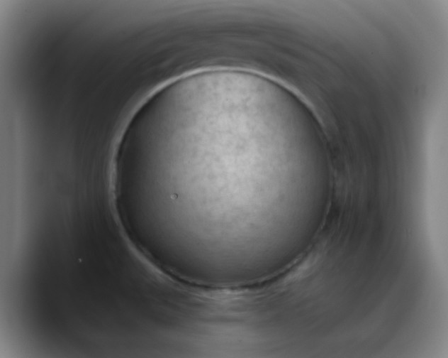 X0000089861527200707121727