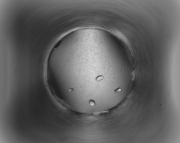 X0000089861528200707121727