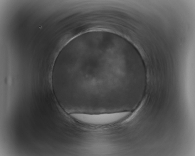 X0000089861529200707121727