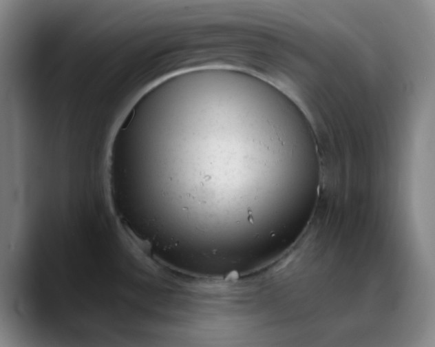 X0000089861532200707121727