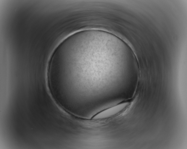 X0000089861533200707121727