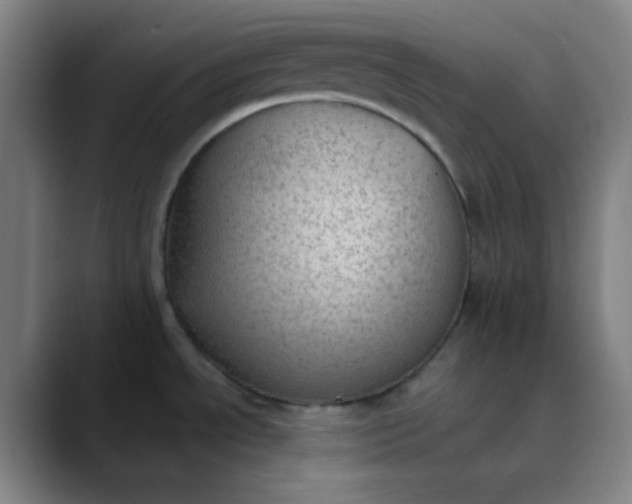 X0000089861534200707121727