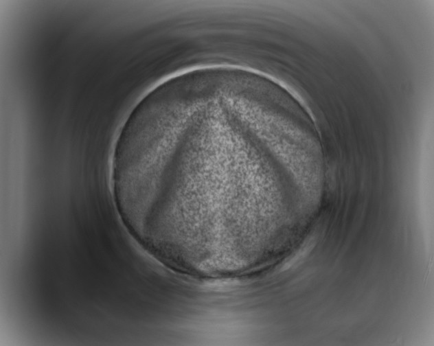 X0000089861535200707121727