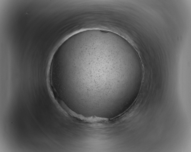 X0000089861536200707121727