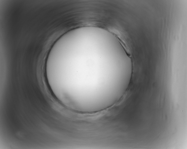 X0000089860001200707191929