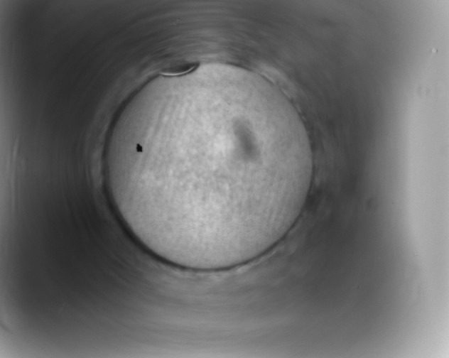 X0000089860002200707191929