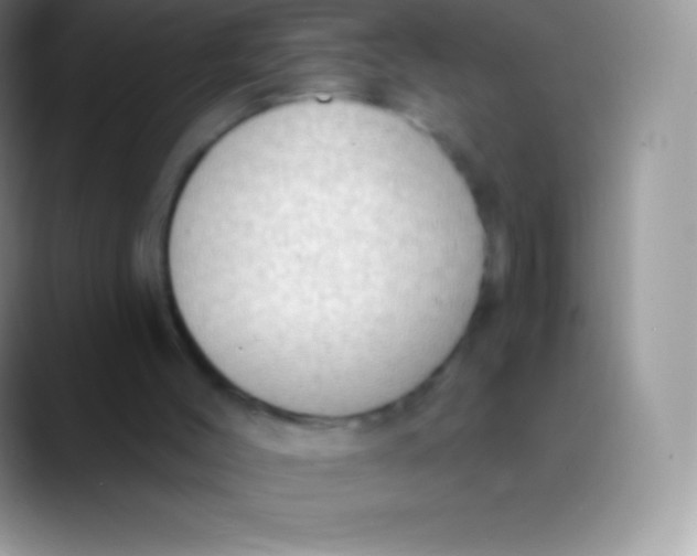 X0000089860004200707191929