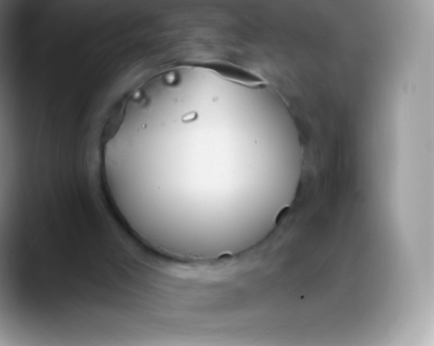 X0000089860005200707191929