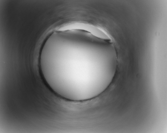 X0000089860007200707191929