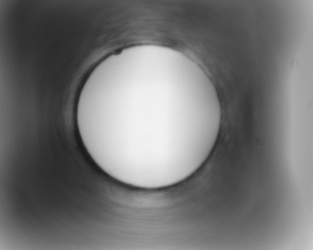 X0000089860008200707191929