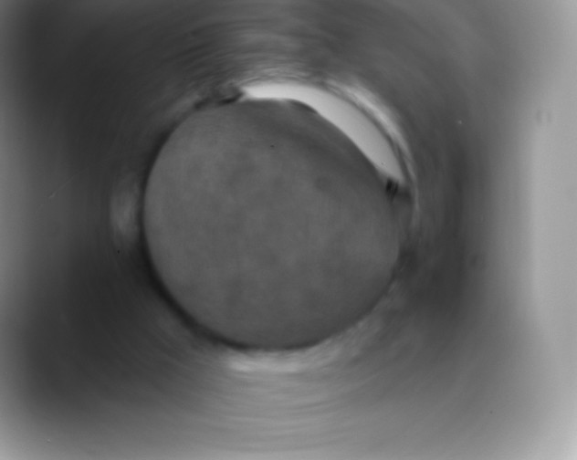 X0000089860009200707191929