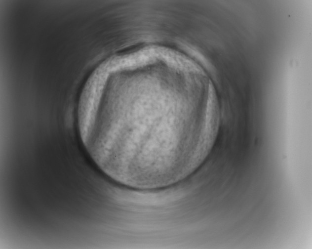 X0000089860010200707191929