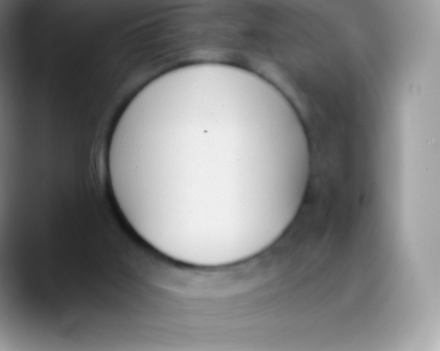 X0000089860011200707191929