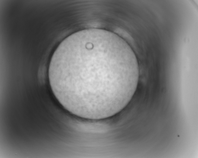 X0000089860012200707191928