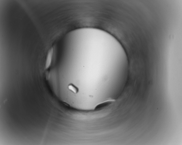 X0000089860017200707191928