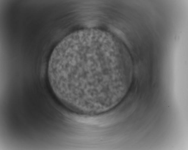 X0000089860018200707191928