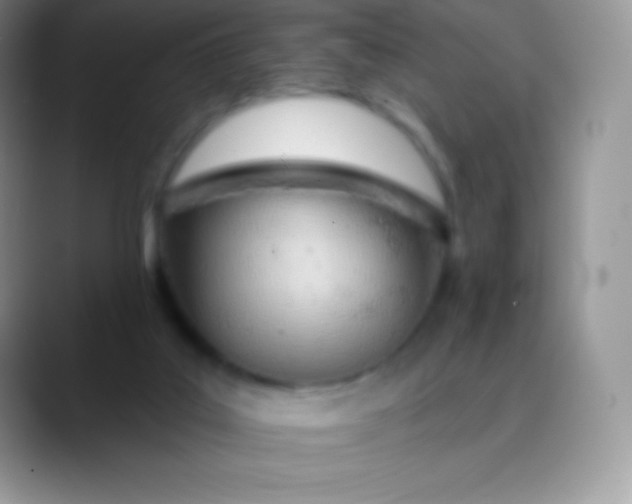 X0000089860019200707191928