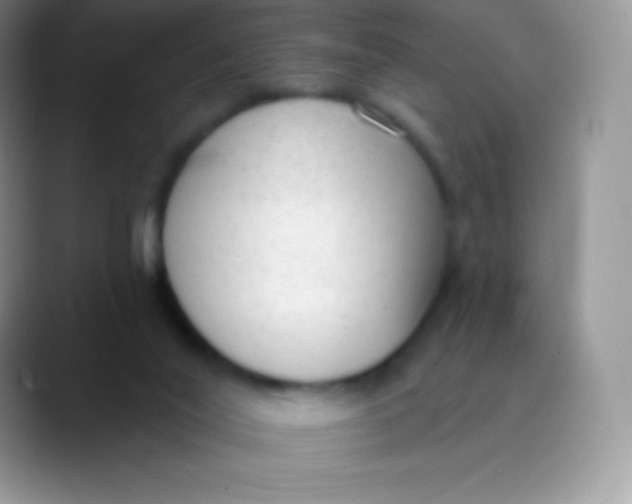 X0000089860020200707191928