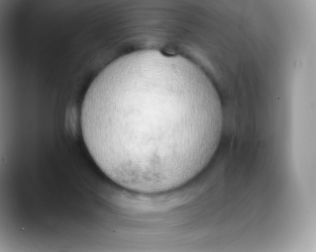 X0000089860022200707191928