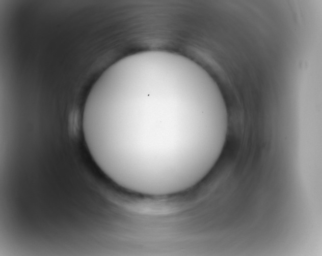 X0000089860024200707191928