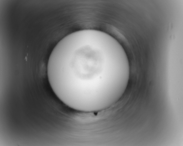 X0000089860025200707191928