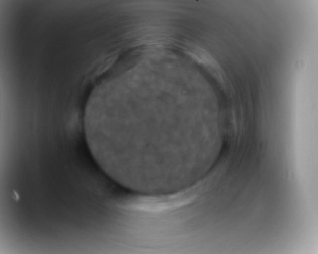 X0000089860029200707191928