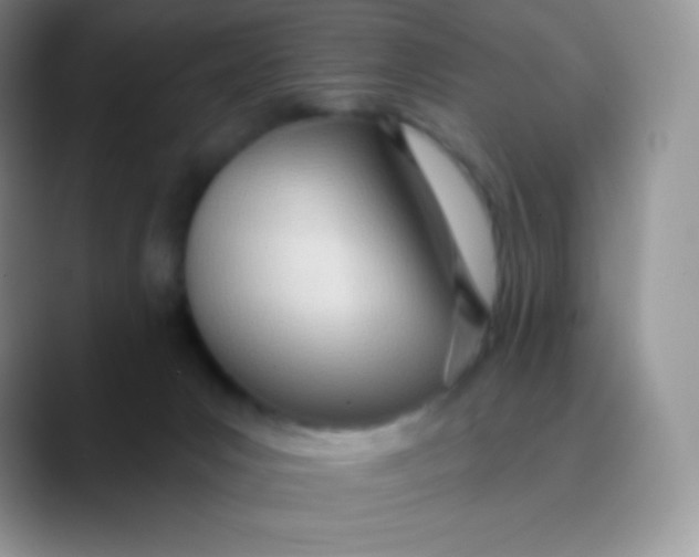 X0000089860031200707191928